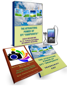 The Attracting Power of EFT "Snapshots" Bundle Package