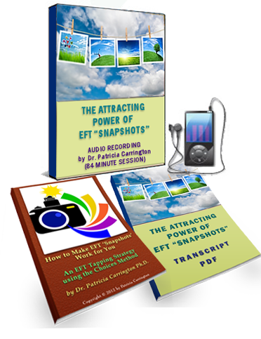 The Attracting Power of EFT "Snapshots" Bundle Package